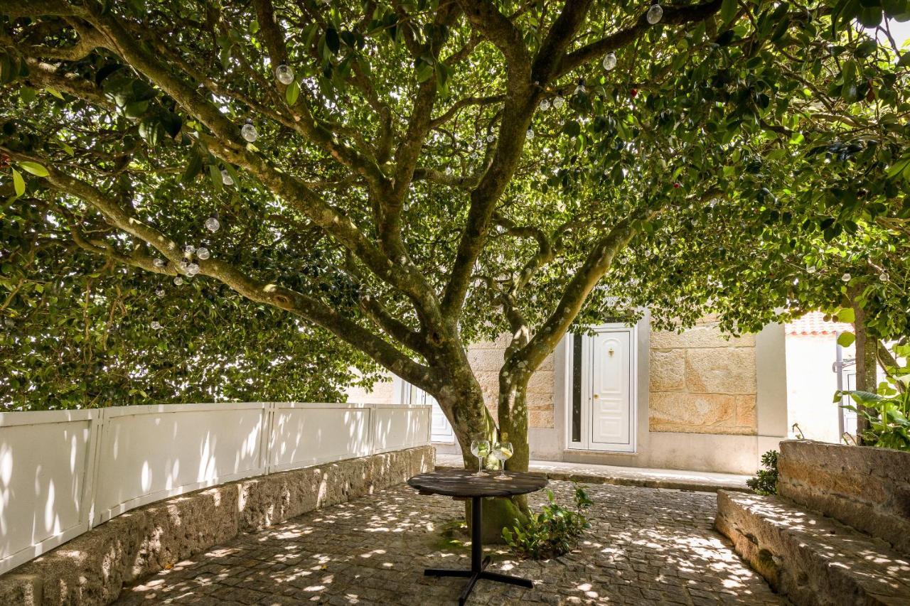 Casa De Ferreira Cinfaes别墅 外观 照片